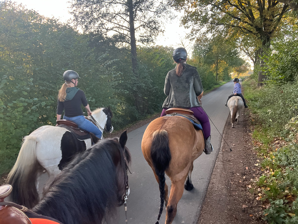 Ausritt mit den Ponys im Grünen