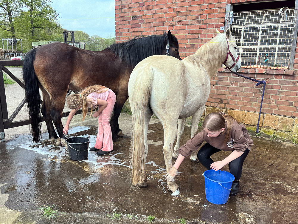 Zwei Mädchen waschen ihre Ponys